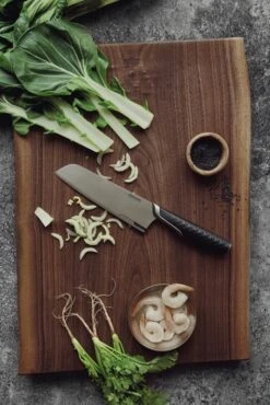 Fiskars Titanium Santoku Knife, 16 Cm 5 Fiskars Titanium Santoku Knife, 16 Cm -Default Template 4 fiskars titanium santoku knife 16 cm 4