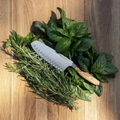 Wüsthof Amici Santokumes 17 Cm -Default Template 4 wusthof amici santokumes 17 cm 1